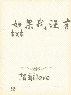 如果我没有爱过txt