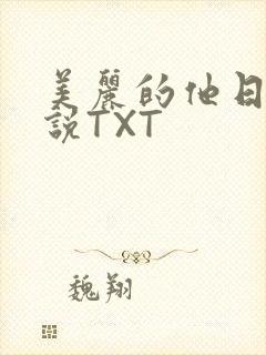 美丽的他日剧小说TXT