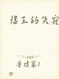 爆王的失宠弃妃