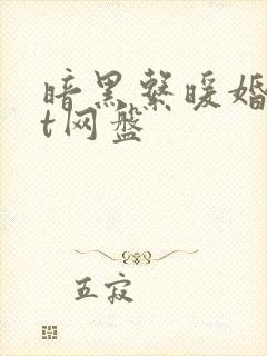 暗黑系暖婚txt网盘