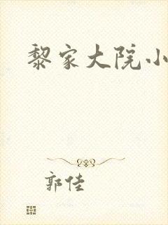 黎家大院小说
