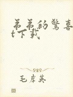 弟弟的惊喜txt下载