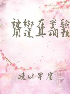 被绑在实验台上用道具调教