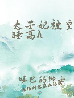 太子妃被皇上强睡高h