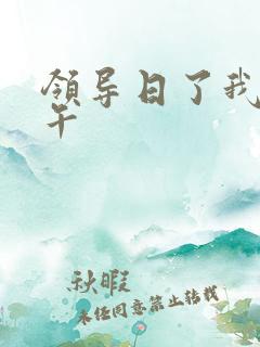 领导日了我一下午
