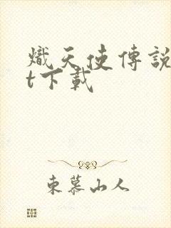 炽天使传说txt下载