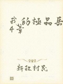 我的极品岳坶34章