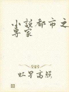 小说都市之军火专家