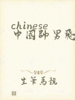 chinese中国帅男飞机