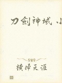 刀剑神域 小说