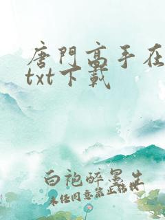 唐门高手在异世txt下载