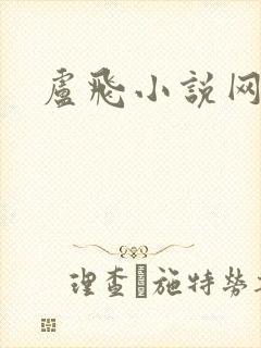 卢飞小说网