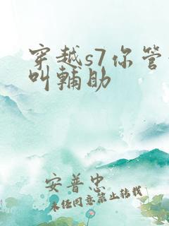 穿越s7你管这叫辅助