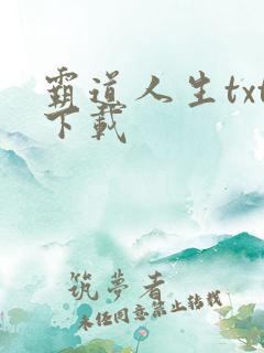 霸道人生txt下载
