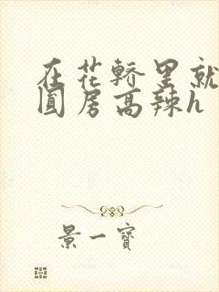 在花轿里就开始圆房高辣h