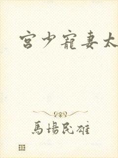 宫少宠妻太凶猛