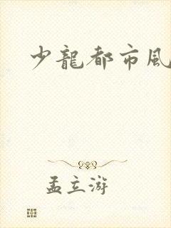 少龙都市风流行