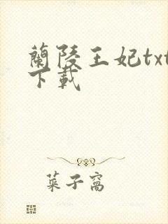 兰陵王妃txt下载