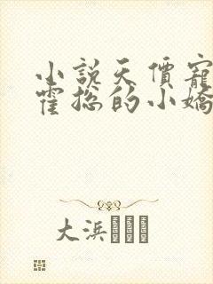 小说天价宠妻:霍总的小娇妻