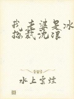 我老婆是冰山女总裁沈浪