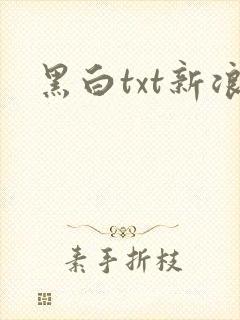 黑白txt新浪