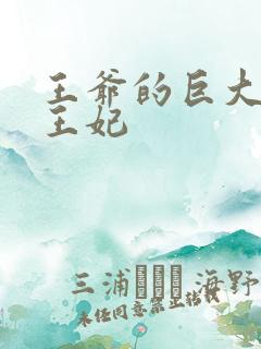 王爷的巨大进入王妃