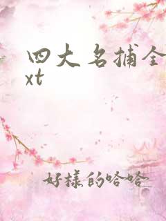 四大名捕全集txt