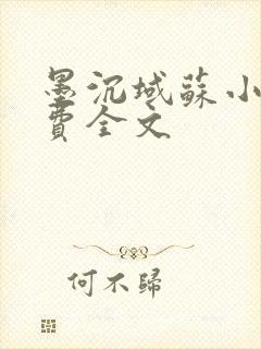 墨沉域苏小柠免费全文