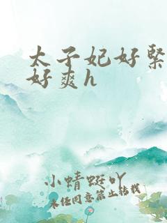 太子妃好紧皇上好爽h