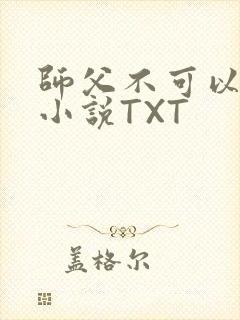师父不可以灵犀小说TXT