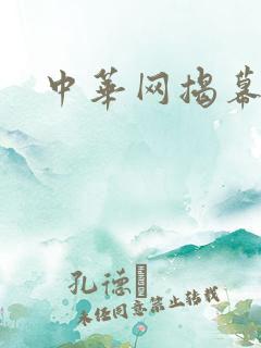 中华网揭幕内参