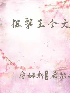 狙击王全文阅读