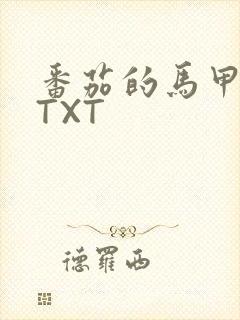 番茄的马甲小说TXT