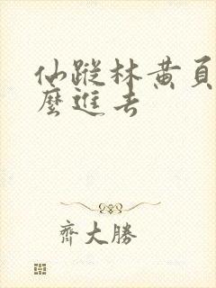 仙踪林黄页网怎么进去