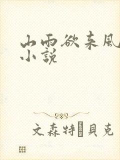 山雨欲来风满楼小说