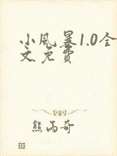 小风暴1.0全文免费