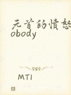 元首的愤怒之nobody
