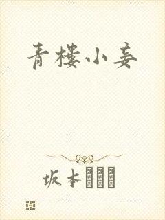 青楼小妾