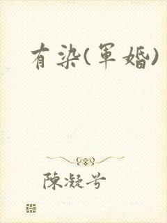 有染(军婚)