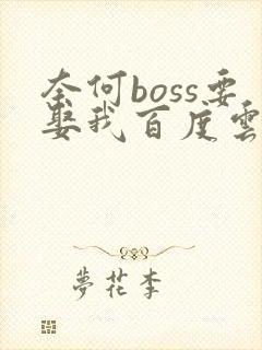 奈何boss要娶我百度云