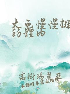 大龟慢慢挺进我的体内