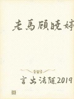 老马顾晓婷小说