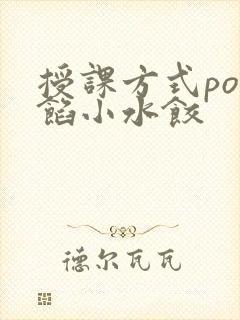 授课方式po肉馅小水饺