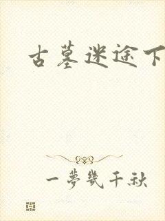 古墓迷途下载