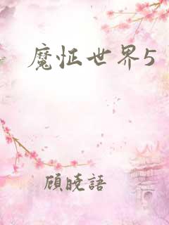 魔怔世界5
