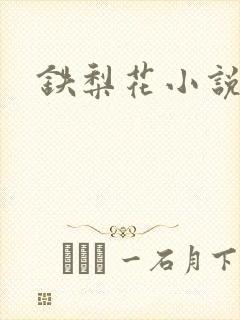 铁梨花小说