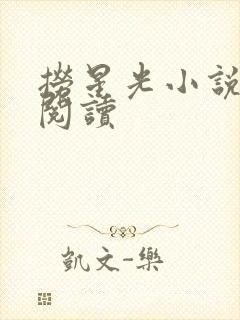 捞星光小说免费阅读