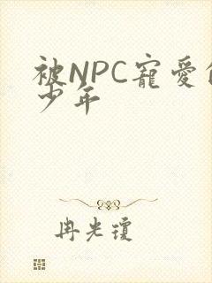 被NPC宠爱的少年