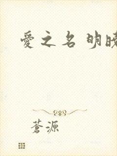 爱之名 明晓溪