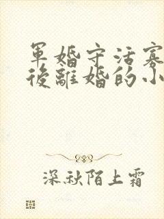 军婚守活寡重生后离婚的小说